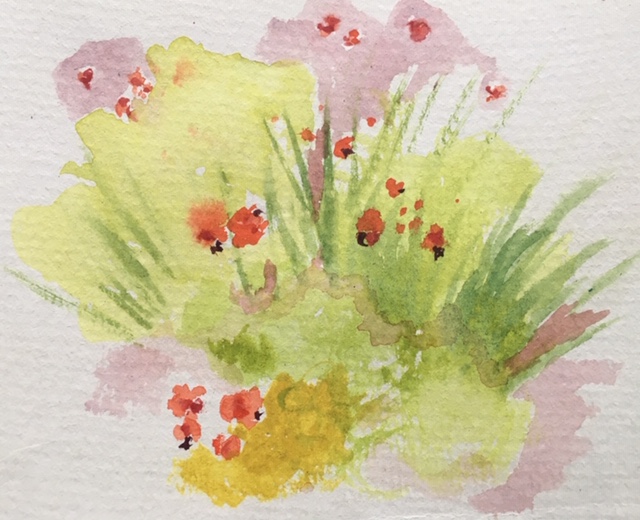 Pochade, fleurs sauvages d'Abitibi, aquarelle sur papier 